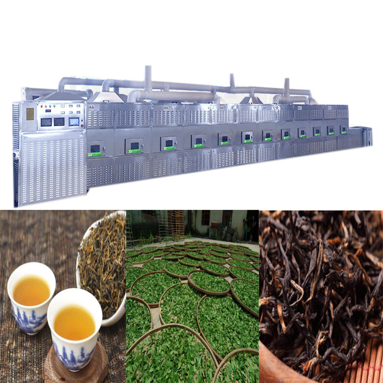 microwave drying equipment for green tea mass