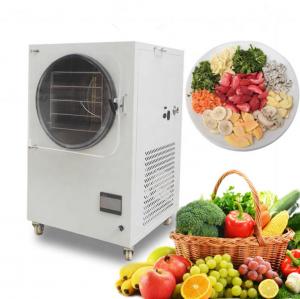 China Multifunction Industrial Food Freeze Dryer Mini Vacuum Food Lyophilizer on sale