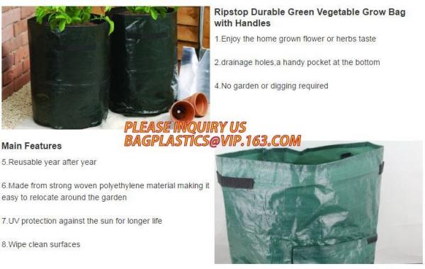 cultivating bags, 100% biodegradable various Wholesale Poly Black Square Garden Plastic Baby Flower Plant Nursery Poly B