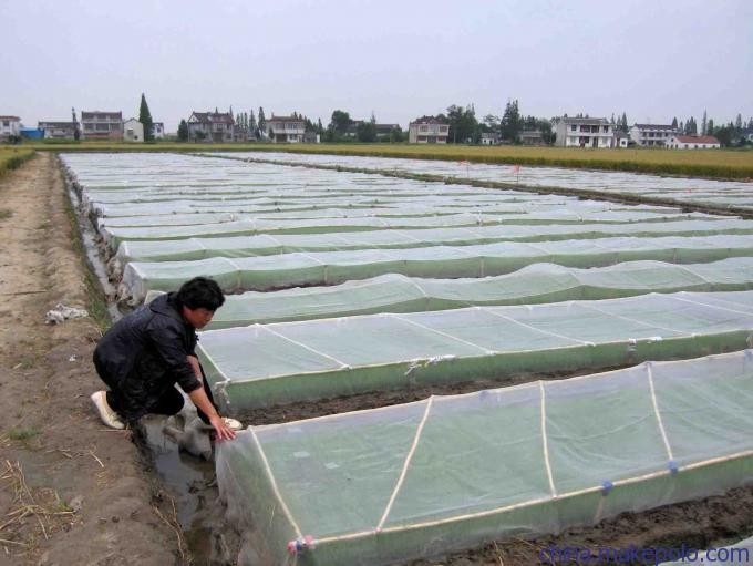  Green House Using Anti-insect screen 40x25 mesh，PE Plant Anti Insect Net,Mosqutio Screen Manufactures