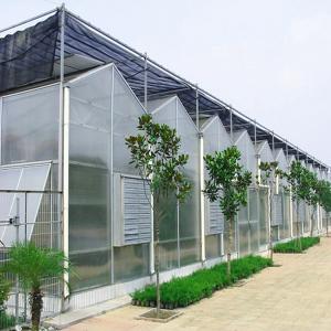 China Hot Dipped Galvanized Steel 7.5m PC Sheet Greenhouse on sale