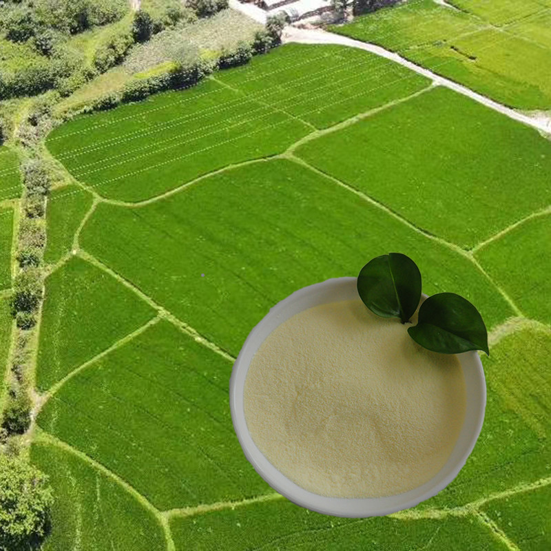  OMRI list soy protein hydrolysate amino acid nitrogen16 Amino Acid Powder 85% Agriculture Manufactures