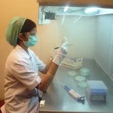  Preshipment Laboratory Testing Services  3rd Party With Detailed Report Manufactures