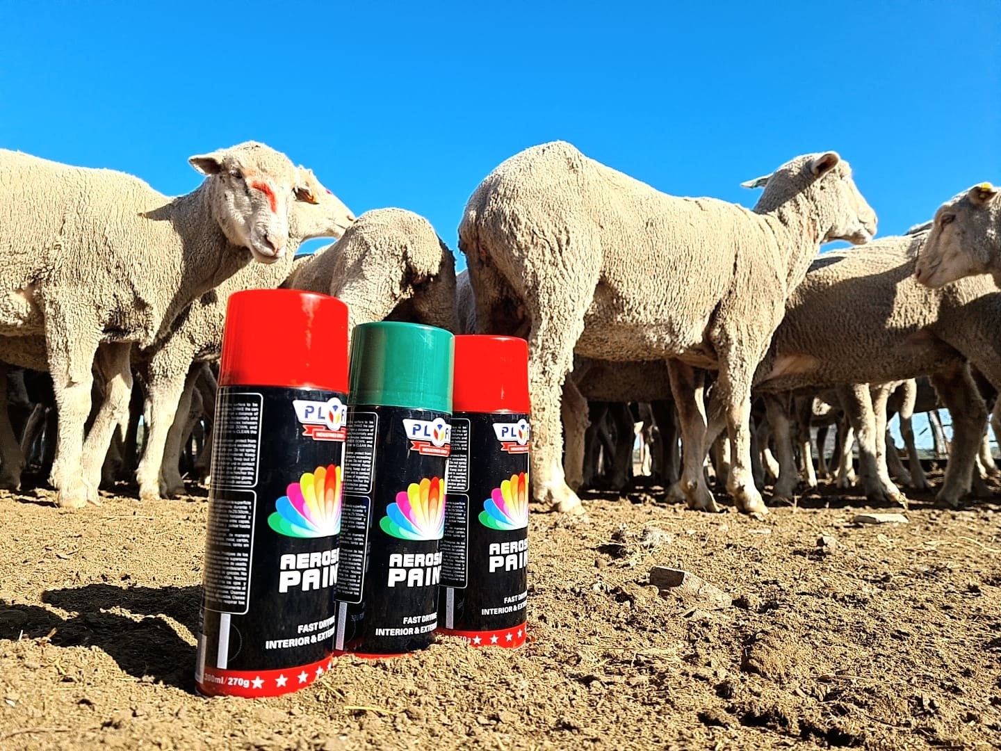 Plyfit Livestock Marker Spray No Harm Cow Sheep Marking Spray Paint Manufactures