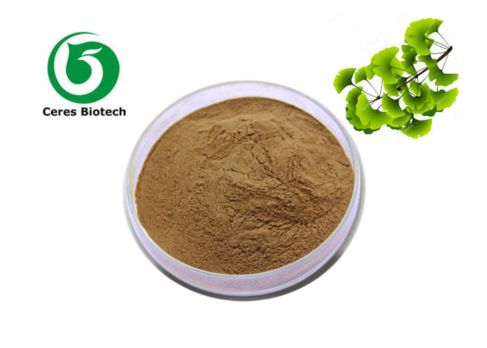 China 24 Flavone 6 Lactones Ginkgo Biloba Extract Powder Traditional Chinese Medicine Ethanol Extraction on sale