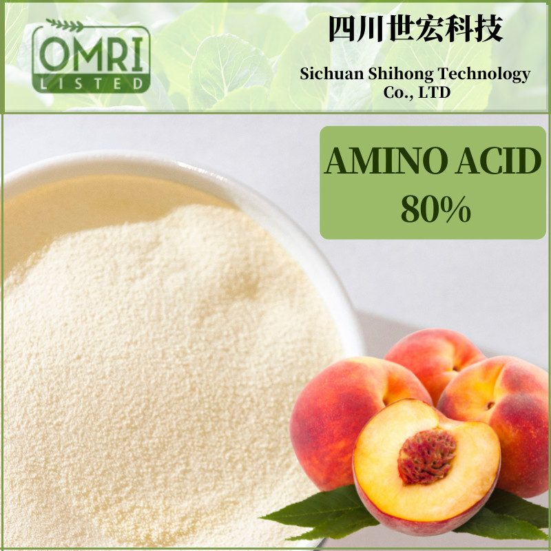  Plant Source Enzymatic Amino Acid Powder 80% In Vegetables Manufactures