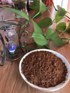  Health Fine Alkalised Cocoa Powder For Ike European Cakes And Pastries Manufactures