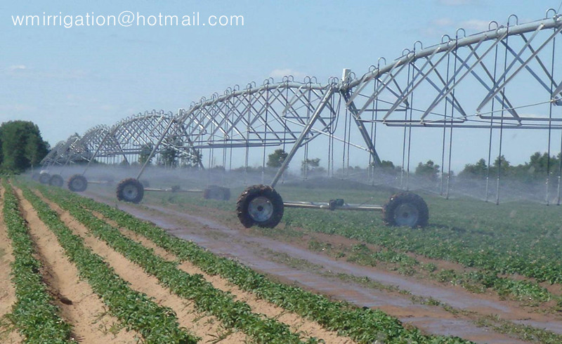 Quality DYP-598 center pivot irrigation system for sale