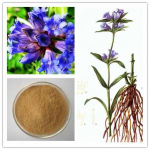 China Pure Gentian Root Extract Powder 60% Gentiopicroside For Skin Inflammation on sale