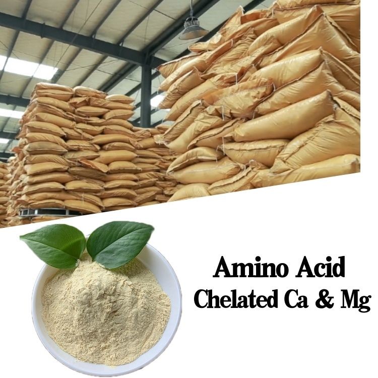  Agricultural Calcium Ca Magnesium Mg Chelate Amino Acid Organic Fertilizer Manufactures