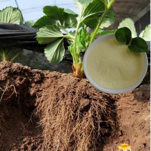  Plant Growth Enhancer Biostimulant Amino Acid Powder Fertilizer Nitrogen 14 Manufactures