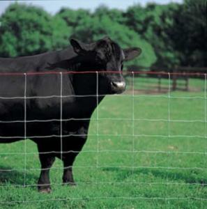  Ranch Fence Manufactures