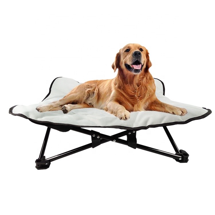  600D Portable Elevated Dog Bed Waterproof 20cm Indoor Raised Manufactures
