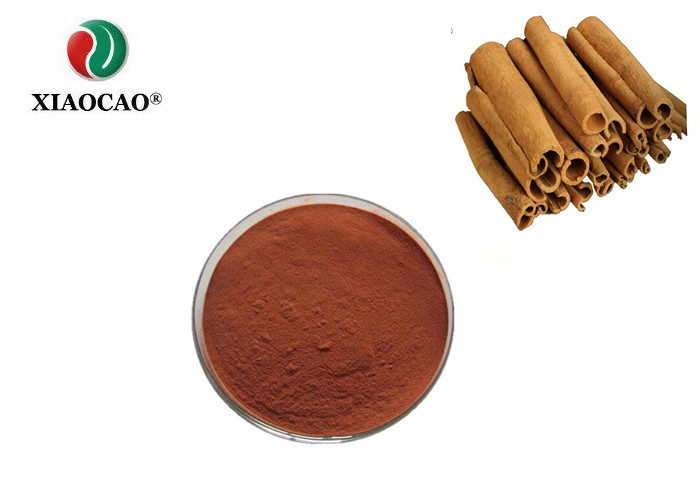 China 100 Natural Cinnamon Extract Powder , Dried Fruit Powder Bulk Reduce Blood Sugar on sale