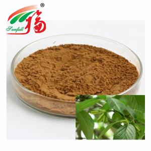 China Eucommia Ulmoides Leaf Extract Anti Virus Anti Bacteria Effects For Animal Feed on sale