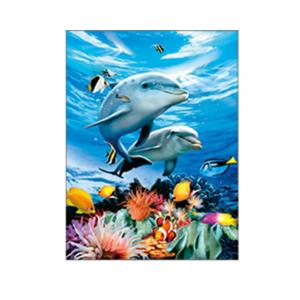  Living Room Decoration 3D Lenticular Photography Sealife Dolphin Images With Deep Effect Manufactures