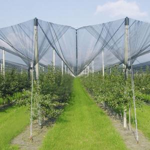  Anti-Hail Net for Trees,Garden,Vegetables and Fruit,3.6-5.0cm oepning,white,green,black Manufactures