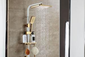 China DN15  Solid Brass Thermostatic Dual Head Mixer Shower on sale