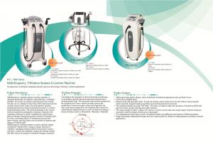  Multi-frequency vibration Sputum Excretion Machine Manufactures