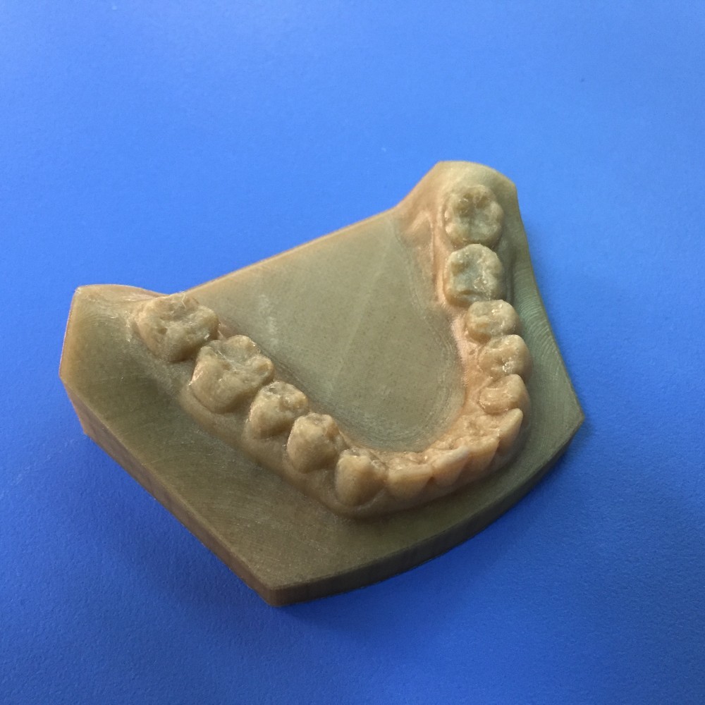  High Precision Gray Tooth Model FDM 3D Printing Service For Medical Industry Manufactures