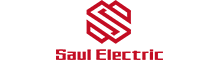 China HONG KONG SAUL ELECTRICAL LIMITED logo