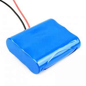  26.4Wh 2200mAh Small 12 Volt Lithium Battery Manufactures