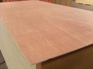  Poplar Core Commercial Plywood Bintangor B/BB Face 2 Time Hot Press Processing Manufactures