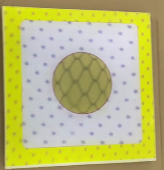  Honey cube parallex 3D Fly-Eye Lenticular Software for making continuous dot 3d pattern with english language on windows Manufactures