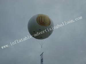  0.18mm Fireproof PVC Advertising Helium Balloon with Digital Printing of Celebration Manufactures