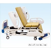  DA-10-1 Multi-function Electric Patient Bed/ Medical/ Hospital / 3pcs Electro-motor Manufactures
