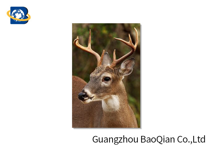  Animal Lenticular Greeting Cards , Deer 3D Greeting Cards For Christmas / New Year Manufactures