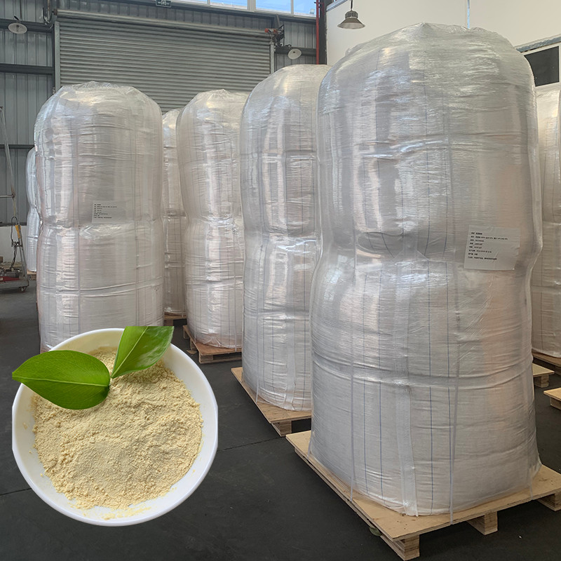  Plant source foliar organic fertilizer  Calcium Magnesium Amino Acid Chelate Fertilizer Powder Manufactures