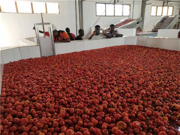 Quality SUS304 50T/H 440V Tomato Ketchup Production Line for sale
