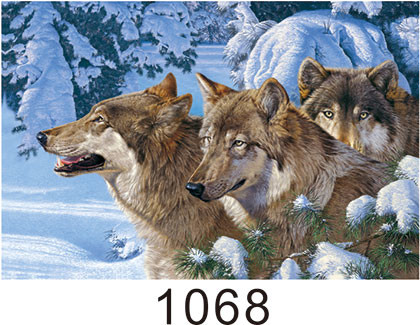  0.6mm Thickness 3D Lenticular Images , Advertising Poster 3D Wolf Picture Manufactures