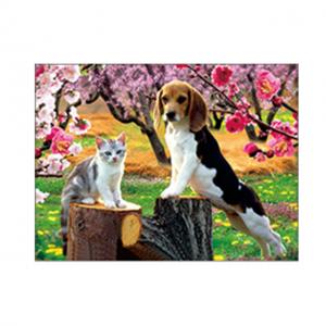  Lovely Cats And Dogs 3D Lenticular Pictures Printing Customized Size Manufactures
