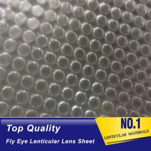  OK3D fly eye 3d sheet new product dot lens sheet 3d effect 360 degrees lenticular sheet arrays fly eye lenses sheet Manufactures