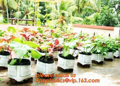 cultivating bags, 100% biodegradable various Wholesale Poly Black Square Garden Plastic Baby Flower Plant Nursery Poly B