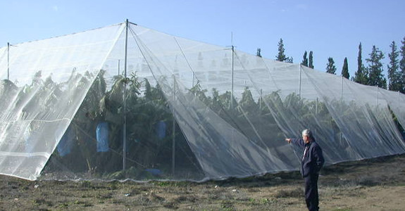  Anti Insect Net 50x35mesh，growing and agriculture using,greenhouse using 50-140g/m2 0.5m-6m width black,white Manufactures