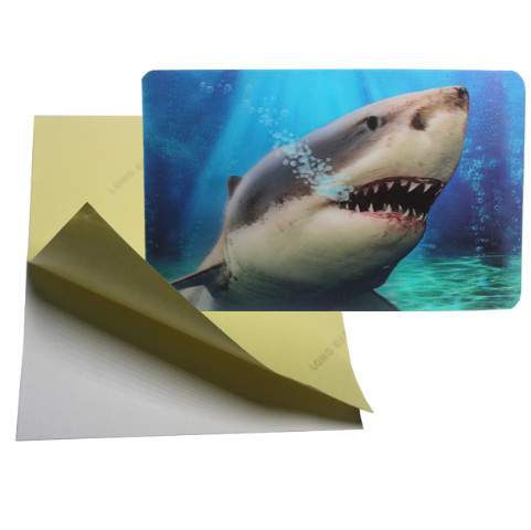  cheap price 3d lenticular sticker pp pet flip effect lenticular sticker printing with the adhesive on the backside Manufactures
