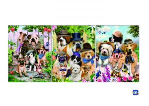  Wall Art 3D Lenticular Picture Flip Cute Cats And Dolphins With 12X17 Inches Manufactures