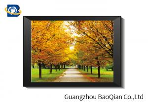  SGS 3D Lenticular Printing Black And White Landscape Pictures For Home Decorative Wall Art Framed Manufactures