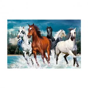  PET 40*60cm 3D Lenticular Pictures For Home Decoration And Gifts Manufactures