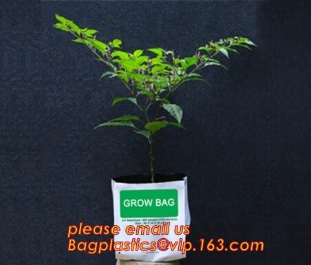  cultivating bags, 100% biodegradable various Wholesale Poly Black Square Garden Plastic Baby Flower Plant Nursery Poly B Manufactures