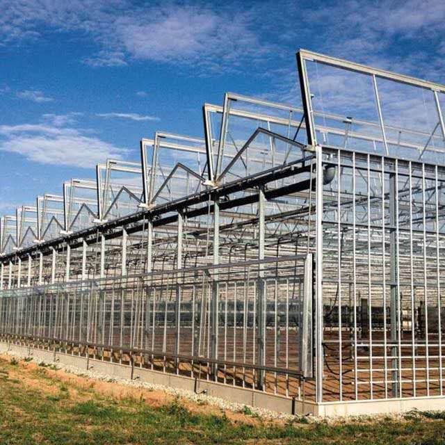 China Temperature Resistance Glass Tomato Greenhouse Nursery Greenhouse OEM ODM on sale