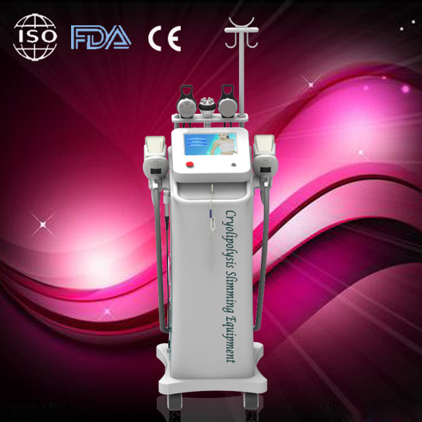 China 2014 Low price cryolipolysis equipment / cryolipolysis slimming machine for best slimming on sale