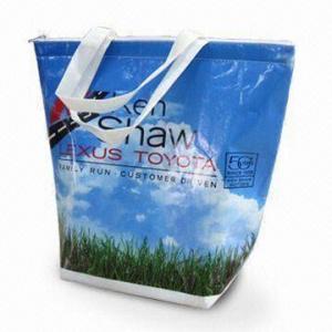  PP Nonwoven Cooler Bag with One Main Compartment to Carry Food and Drinks Manufactures