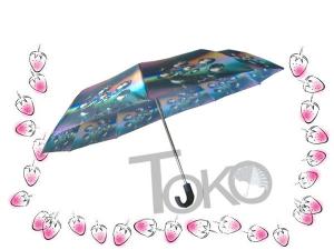  Compact Sun Auto Open Umbrella , Self Opening And Closing Umbrellas Solid Frame Manufactures