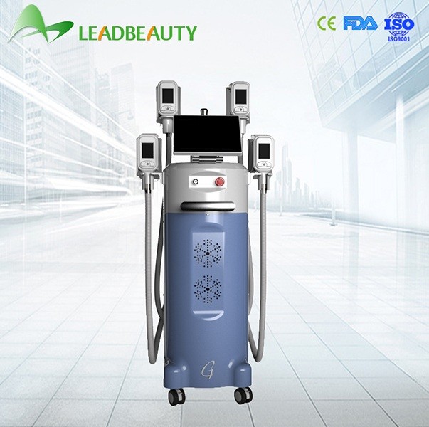 China 2015 Low price cryolipolysis equipment / cryolipolysis slimming machine for best slimming on sale