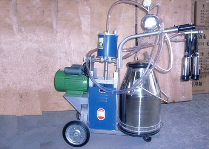 China Small Single Cow Mobile Milking Machine With Dry Vacuum Pump , 0.55kw - 0.75kw on sale
