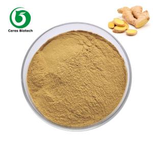 China Antioxidant 40% Dried Ginger Root Extract Powder Food Supplement on sale